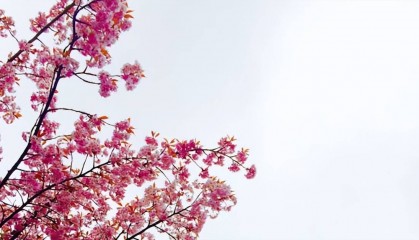 怎么买末日期权?