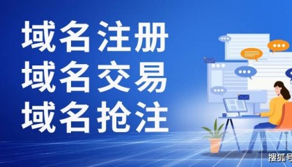 如何成功交易域名？