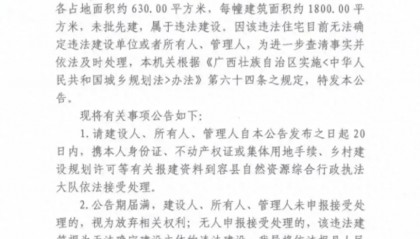 两栋600平违建别墅找不到房主?真找不到还是不想找