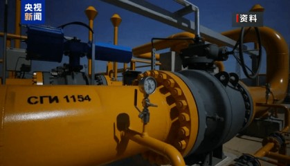 伊朗驻俄大使:伊朗希望在近期接收俄罗斯天然气