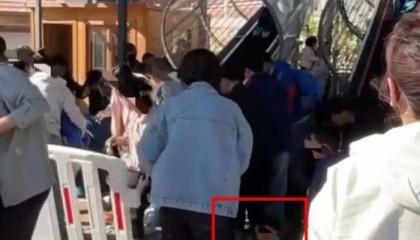 张家口一景区观光魔毯失控，多名游客被甩出，文旅局介入调查