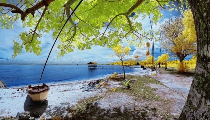 什么是情网?什么是天网?什么是情思?什么是感性和理性?