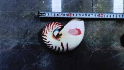 女子网购“漂亮东西”，警察找上门！别侥幸，犯法！