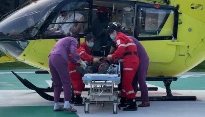 深圳一市民突遭马蜂围袭!已进入高发期,千万别招惹!