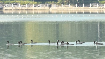 冷空气即将抵达广西!还有降雨+大风
