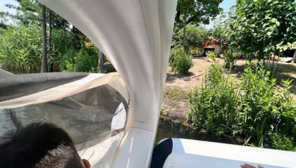 码头无人值守,上海一游客自行上岸踩空落水!律师:商家有缺陷、游客有疏忽