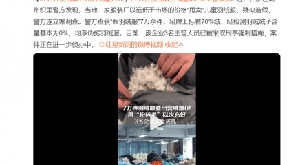 羽绒服“暴雷”,让波司登赚到了?