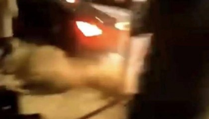 江苏苏州一男子炫车技失控撞上烧烤摊!二审宣判