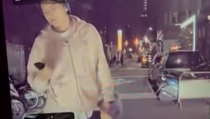 王大陆教唆打人案导火索或因打不开车门！特斯拉回应设计问题