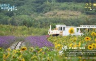 “人工智能+”行动!河北最新发布