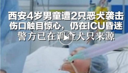 4岁男童遭恶犬袭击住进ICU,狗咬人为何就管不住?