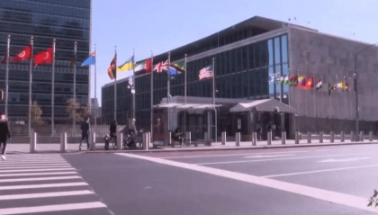 万万没想到!俄乌打了三年多,竟是俄先“加入”北约?普京高兴坏了