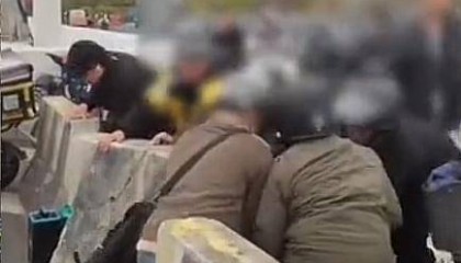 广州“电鸡”车主被曝推开石墩逃避查车,视频热传!多方回应