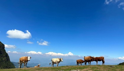 贵州五天四晚:怎么玩快乐?怎么玩省钱?