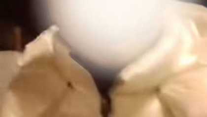 呼和浩特男子打车抽烟被阻拒付钱自称“公职人员”!当地回应