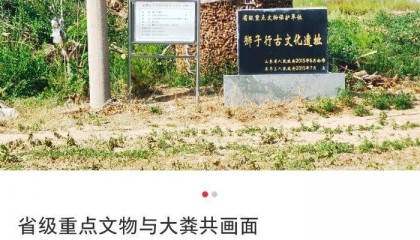 山东一省级重点文物遗址成庄稼堆放地引起质疑,当地回应