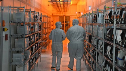 荷兰分析人士:安世半导体事件表明,欧洲夹在中美之间无能为力