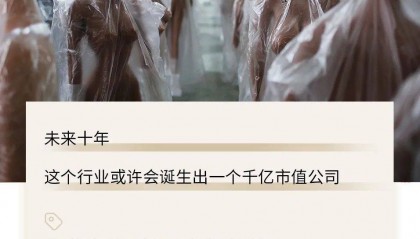 性机器人时代,来了