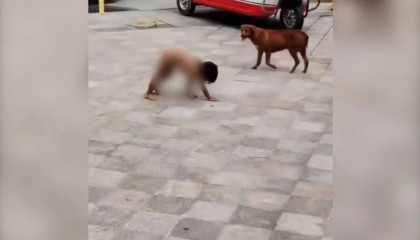 村民：“野人小孩”父亲上山“灵修”后就不正常了