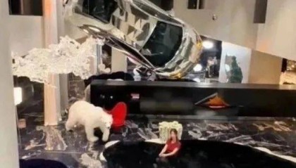 确认了：夫妻俩已被封禁！彻底凉凉