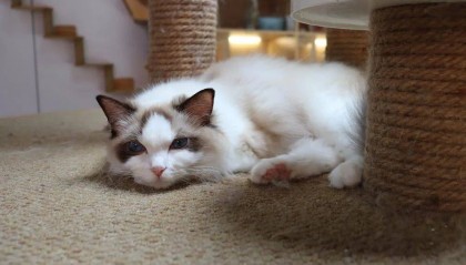 太善解人意,是对自己的软暴力