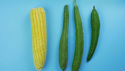 丝瓜肉丝怎么炒好吃