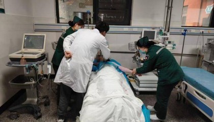 博爱县清华镇卫生院：蜂毒蜇人致休克 妙手施治解蜂毒