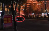 大黑熊夜里独闯黑龙江一县城闹市区,警方连开10多枪击毙,回应为何没用麻醉枪