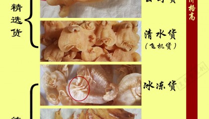 鱼胶的价格排行榜,花胶价格因素分析