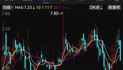 停牌!600624,将被ST