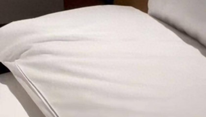 “连换5间房,每间床上都有活虫!”上海新开高档酒店回应