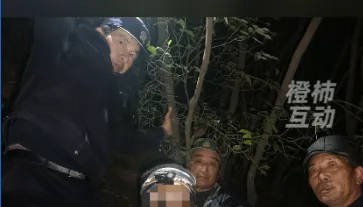 “我现在在树上,野猪在下面……”杭州一男子深夜报警!