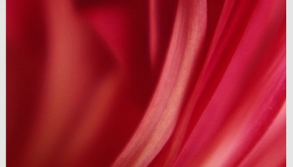 时政新闻眼丨这场聚焦“半边天”的全球峰会上，习近平提出哪些新倡议新举措？