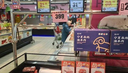 一头肉牛平均亏损1600元以上!牛肉价格跌至年内新低,今年有望反弹