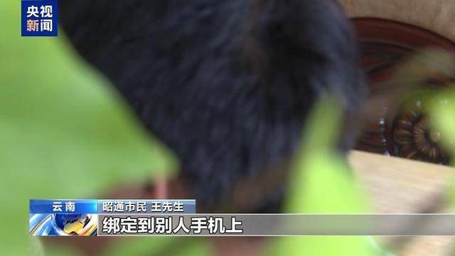 新型“育儿补贴”诈骗现身 这类链接不要点