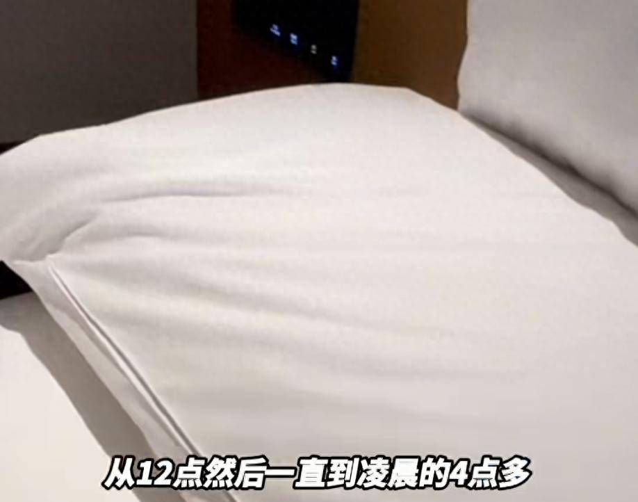 “连换5间房,每间床上都有活虫!”上海新开高档酒店回应