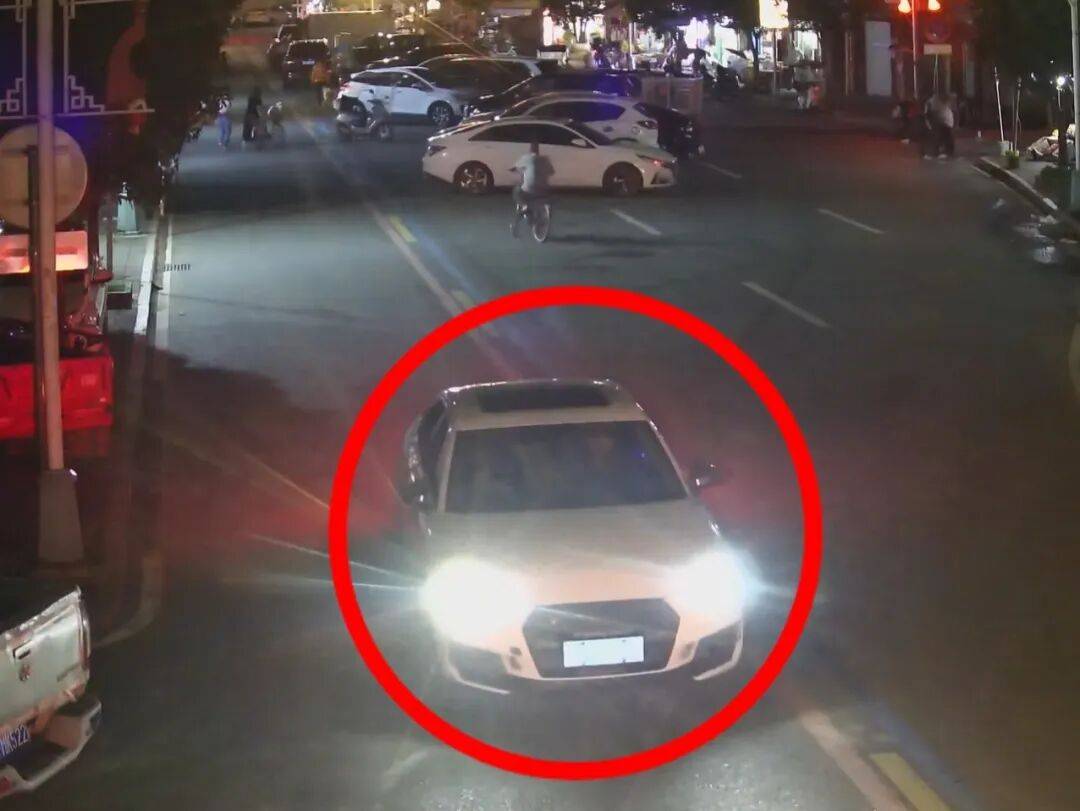 父亲一个电话“举报”亲儿子，不久后奶奶带着锦旗走进了派出所……